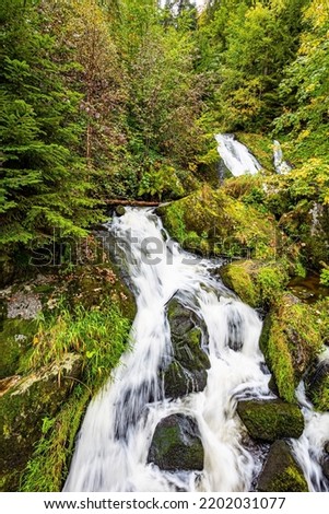 The cascading waterfall Triberg - the most beautiful waterfall in Germany. Journey to the World of Water. Huge boulders overgrown with green moss. Picturesque Black Forest. 