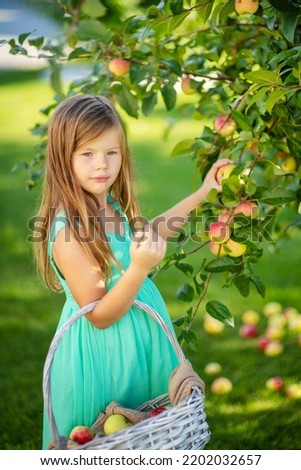 Little girl lying on the grass with scattered apples near an apple tree reaching for a tree branch