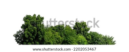 Green Trees isolated on white background.are Forest and foliage in summer for both printing and web pages with cut path and alpha channel Royalty-Free Stock Photo #2202053467