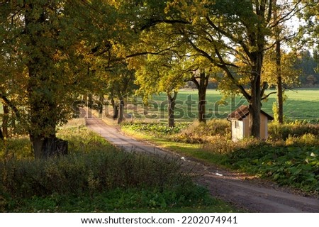 Scandinavian trail, travel on foot or bike in Sweden. Gravel road, alley, and daylight in October in Sweden.