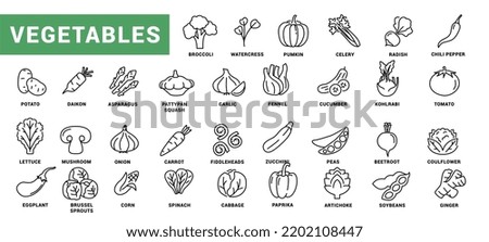 Vegetable icon set. Minimal thin line style. Outline icons collection vegetables eggplant, tomato, radish, mushroom, ginger, broccoli, corn daikon Vector illustration Design on white background EPS 10 Royalty-Free Stock Photo #2202108447