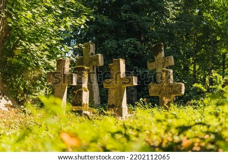 Abandoned greveyard from 1800s. Cross-shaped moss-covered gravestones in lush green forest obscured by tall grass. Horizontal outdoor shot. High quality photo