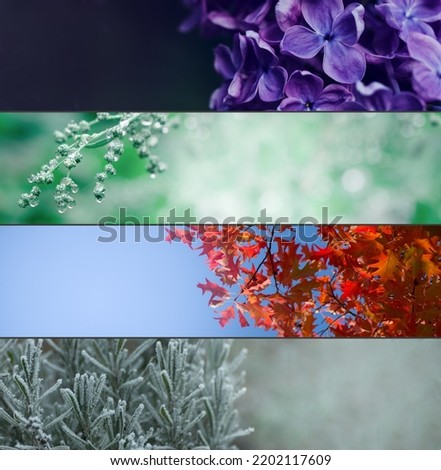 Four Seasons Banners Set. Collection of Spring Summer autumn and Winter natural backgrounds in wide format with blurred copy space. Royalty-Free Stock Photo #2202117609