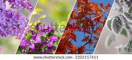 Four Seasons Banners Set. Collection of Spring Summer autumn and Winter natural backgrounds