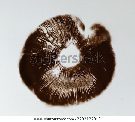 Brown Mushroom Spore Print on White