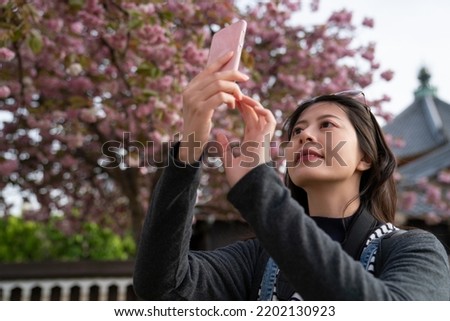 happy asian Taiwanese girl tourist using mobile phone to take pictures of pink sakura flowers at Kofuku-ji temple in nara japan in spring