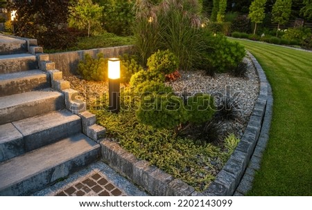 Residential Rockery Backyard Garden LED Outdoor Light Illumination. NIght Time Scenery.  Royalty-Free Stock Photo #2202143099
