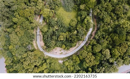 Mountain and hill road lines aerial photography. Taken in Sekupang Batam. The road is between the forest