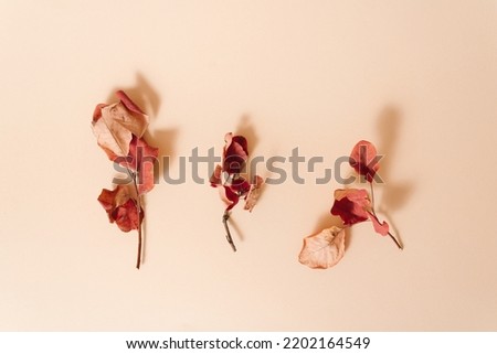 Composition made of three autumn branch on beige background. Creative fall idea decorated with natural leaves. Minimal idea for autumn season. Flat lay fall concept.