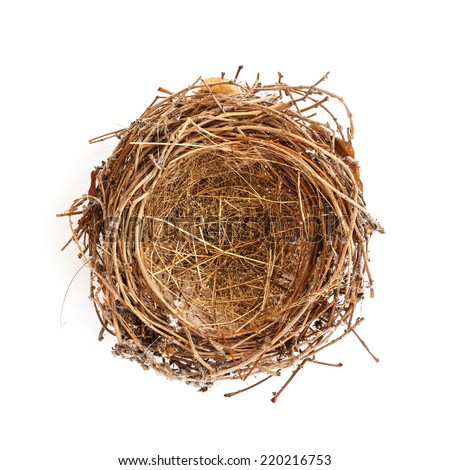 Isolated Bird Nest on White Royalty-Free Stock Photo #220216753