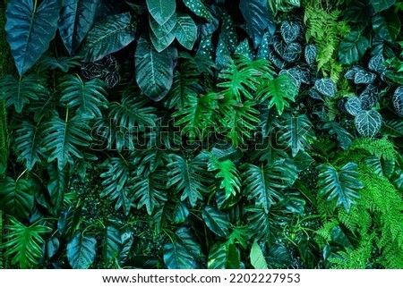 Full Frame of Green Leaves Pattern Background, Nature Lush Foliage Leaf Texture, tropical leaf Royalty-Free Stock Photo #2202227953