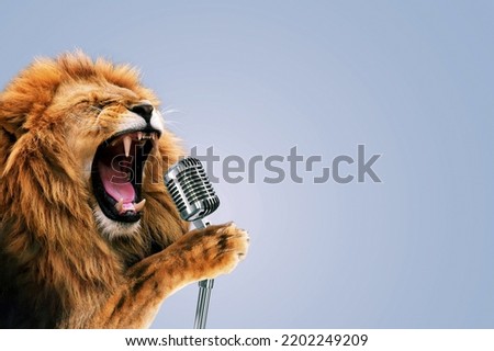 Beautiful lion holds a vintage microphone and sings karaoke. Party music, concert. Creative idea and King animal  Royalty-Free Stock Photo #2202249209