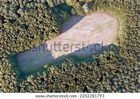 Aerial view of the The Green Cathedral. It is landscape architecture. The forest has the shape of the Notre-Dame in Reims. in a negative cut out in the woods.
