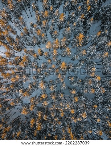 Winter aerial photography from drone. Snowy forest, frozen landscape of czech mountains. Czech national park Beskydy with pure nature and lovely countryside.