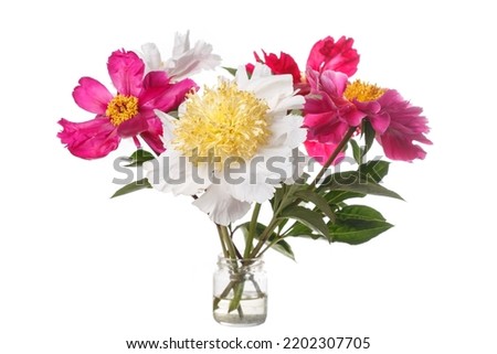 Bouquet of multi-colored peonies on an isolated on a white background.