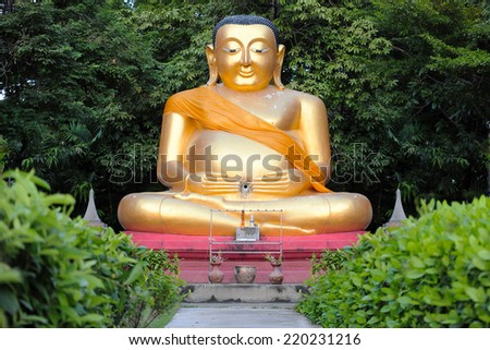 Buddha statue with nature background