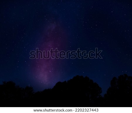 Milky Way and stars silhouetting a forest near Raeford North Carolina
