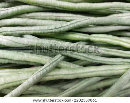 close up of a texture of green string beans usually cooked for salad vegetables