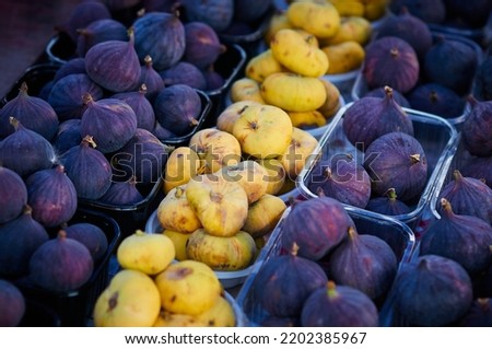 Fig fruits of different varieties on the counter of the farmers market in the evening sunlight. Contrasting yellow and purple fruits arranged in rows. Healthy food concept.
