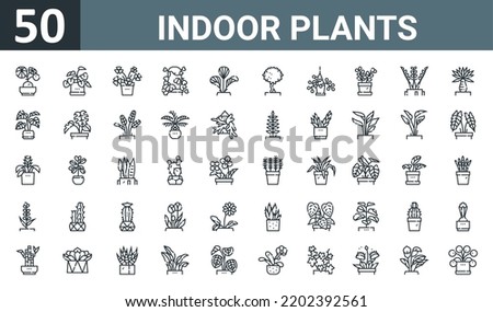 set of 50 outline web indoor plants icons such as stephania erecta, philodendron, oxalis, hoya kerrii, lady palm, ficus, string of heart vector thin icons for report, presentation, diagram, web Royalty-Free Stock Photo #2202392561