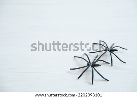 toy black spiders on a white wooden background , a place for text, an abstract Halloween concept