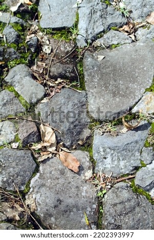 Stone road texture photo background