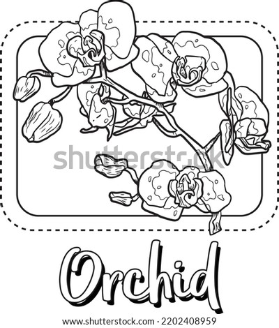 Orchid Artline Flower Illustration For Kids Coloring Book