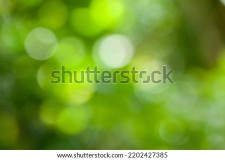green bokeh photo with selective focus