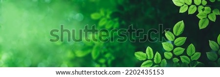 Dark green leaf texture, Natural green leaves using as nature background wallpaper or tropical leaf cover page Royalty-Free Stock Photo #2202435153