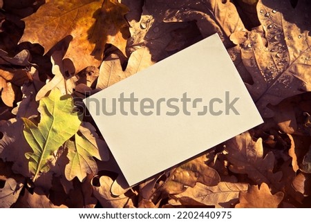 Autumn background-a sheet of white paper on a background of fallen autumn leaves

