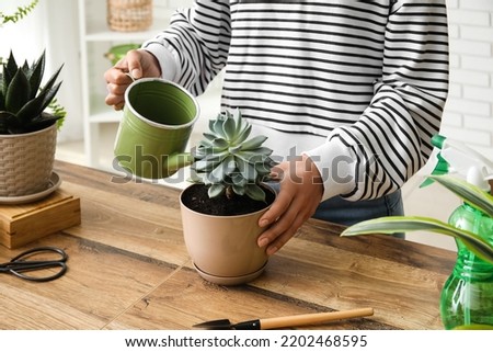 Woman watering succulent plant at home Royalty-Free Stock Photo #2202468595