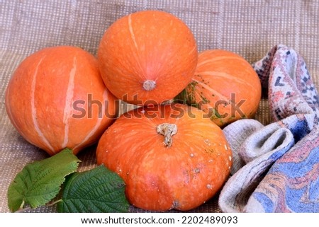 In the picture, a ripe orange-colored pumpkin lies on a gray background.