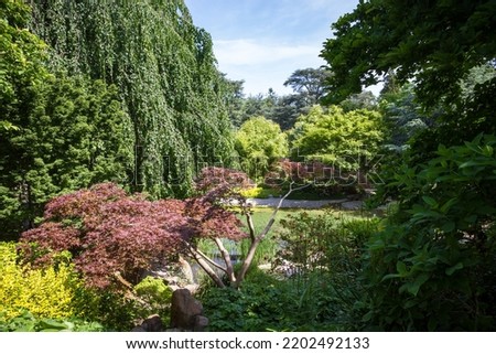 Pond in a traditional japanese garden. Zen background