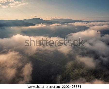Amazing aerial view of beautiful low clouds creeping on the tree-covered mountain slopes, the Rhodopes in Bulgaria at sunrise	