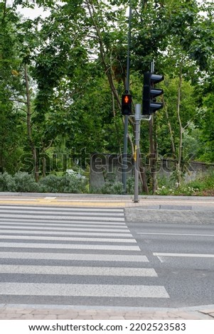 pedestrian crossing, zebra crossing, red light crossing the road