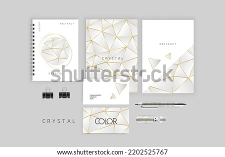 business brand book of the company in white color with golden lines