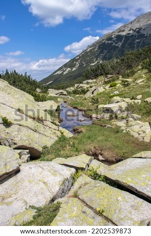 Amazing Summer landscape of Pirin Mountain near Muratovo lake, Bulgaria