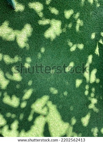 abstract background green grass and shadows copy space