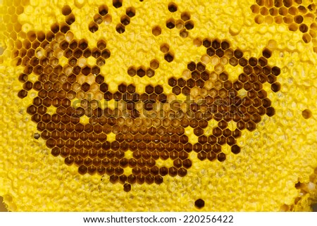 Honey beehive -close up background 