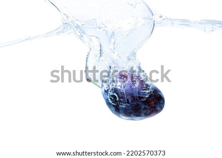 Plum dropped in water with splashes isolated on white background.