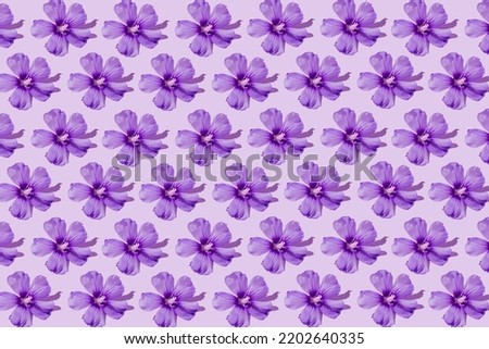 Floral pattern made of beautiful violet hibiscus flowers on pastel background. Minimal style. Nature concept.