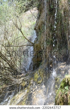Natural waterfall with greenery, moss and rocks