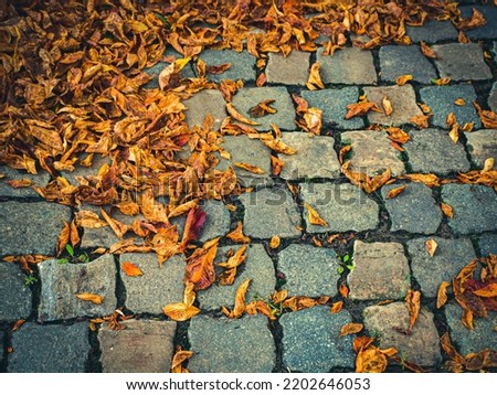 High angle view of dry fallen leaves on the sidewalk, diagonal composition, top view, space for text. Royalty-Free Stock Photo #2202646053