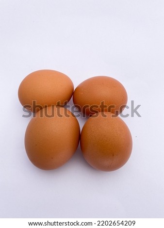 brown chicken egg on a white background