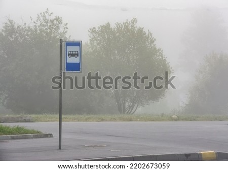 City street with trees and lawns on a foggy morning