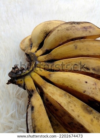 Kepok bananas or pisang kepok isolated on white background. Yellow bananas. Closeup photo.