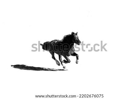Fine art minimal galloping black and white horse with a lot of speed and a shadow casting Royalty-Free Stock Photo #2202676075
