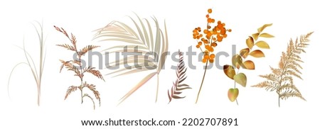 Mix of herbs and plants vector big collection. Cute rustic wedding greenery. Dried palm leaf, orange berry, beige fern, bleached grass, autumn herbal. Watercolor style set. All elements are isolated Royalty-Free Stock Photo #2202707891