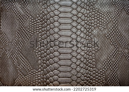 Beautiful dark gray python skin, reptile skin texture, snake skin close-up as a background. Royalty-Free Stock Photo #2202725319