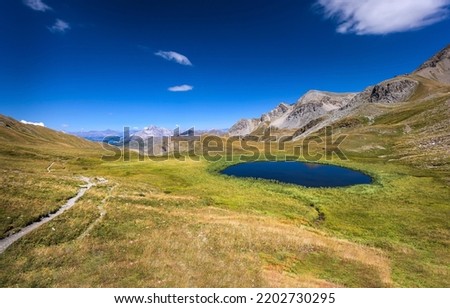 A small lake in a mountain pasture. Small mountain lake view Royalty-Free Stock Photo #2202730295